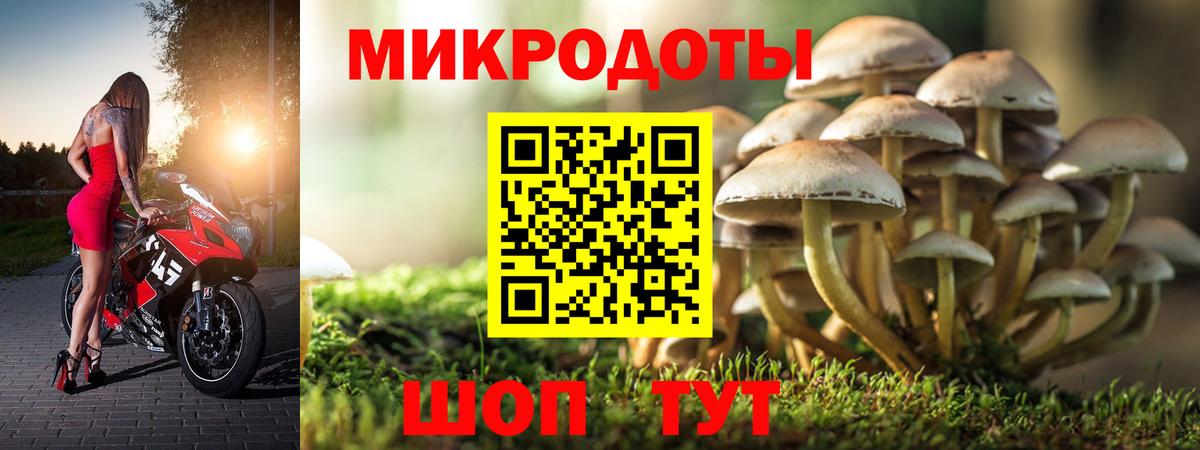 Псилоцибиновые грибы Psilocybine cubensis Сатка